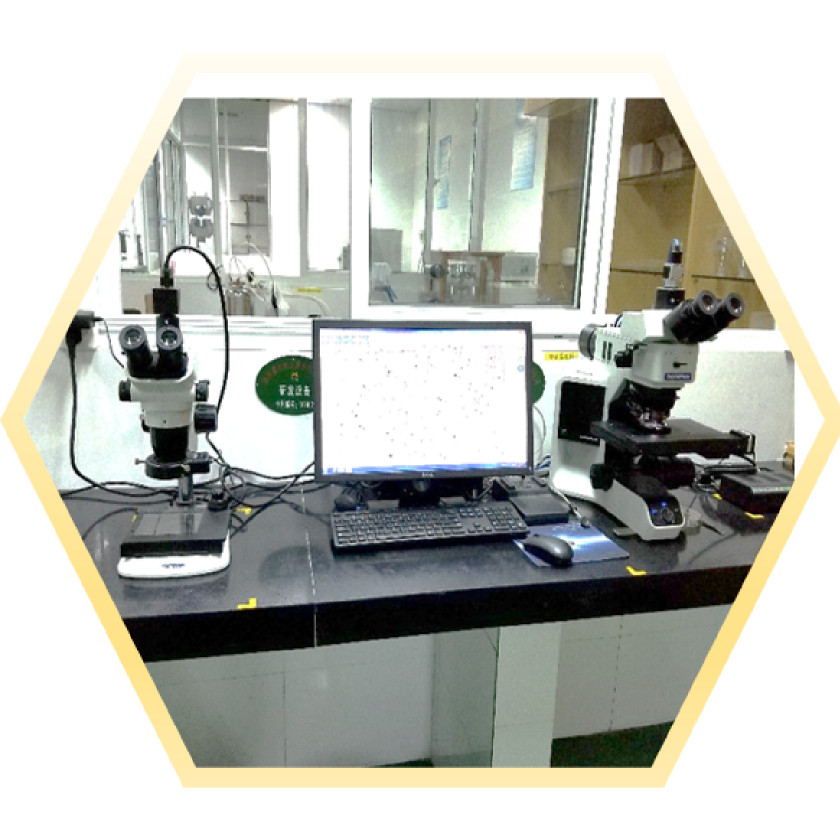 Metallographic Detector