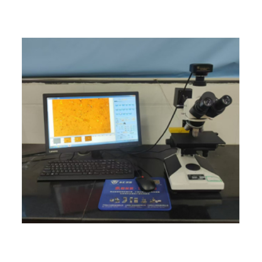 Inspection Microscope