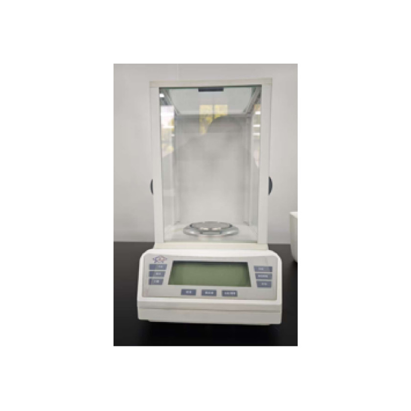 0.1 Microgram Electronic Balance