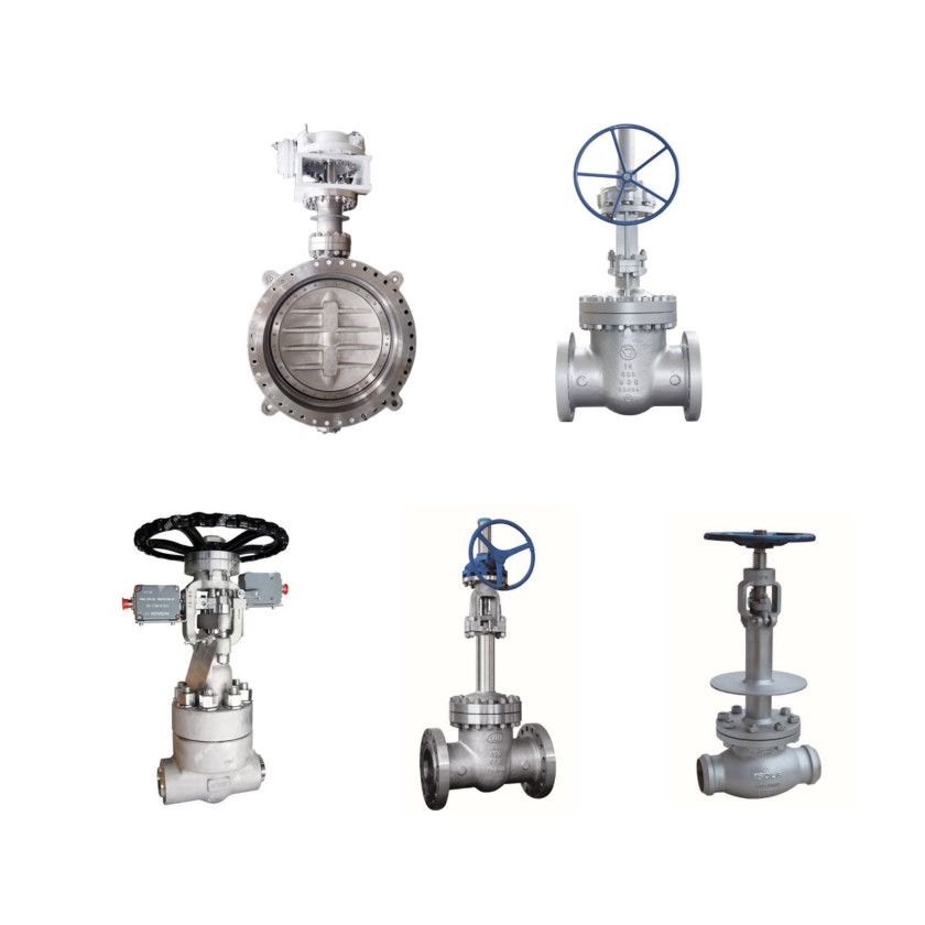 Valve Assy