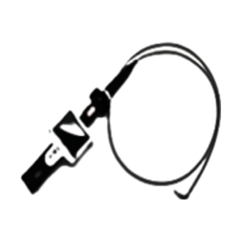 Endoscope